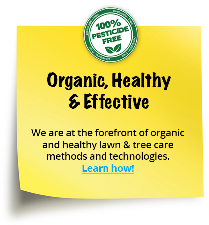 Organic, Healthy & Effective - We are at the forefront of organic and healthy lawn & tree care methods and technologies.