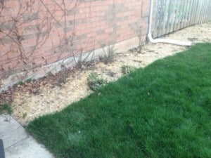 mulch Against building