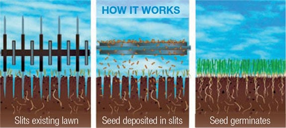 slit seeding