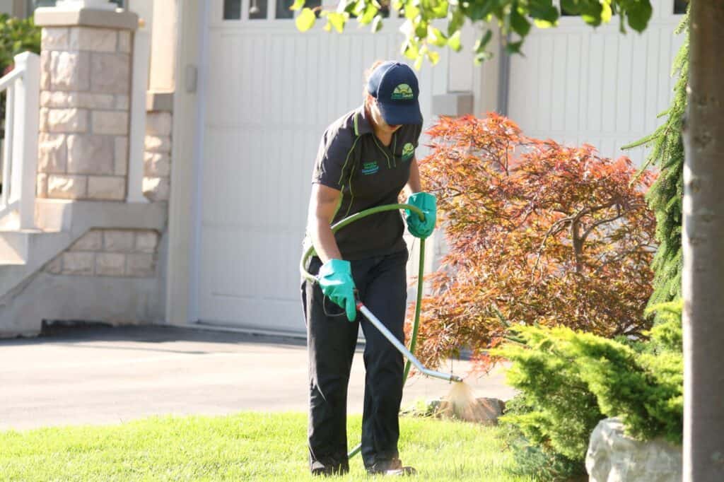 newmarket lawn care lawnsavers weed control