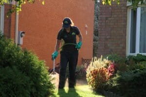richmond hill lawn care lawnsavers weed control