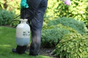 weed control services lawnsavers