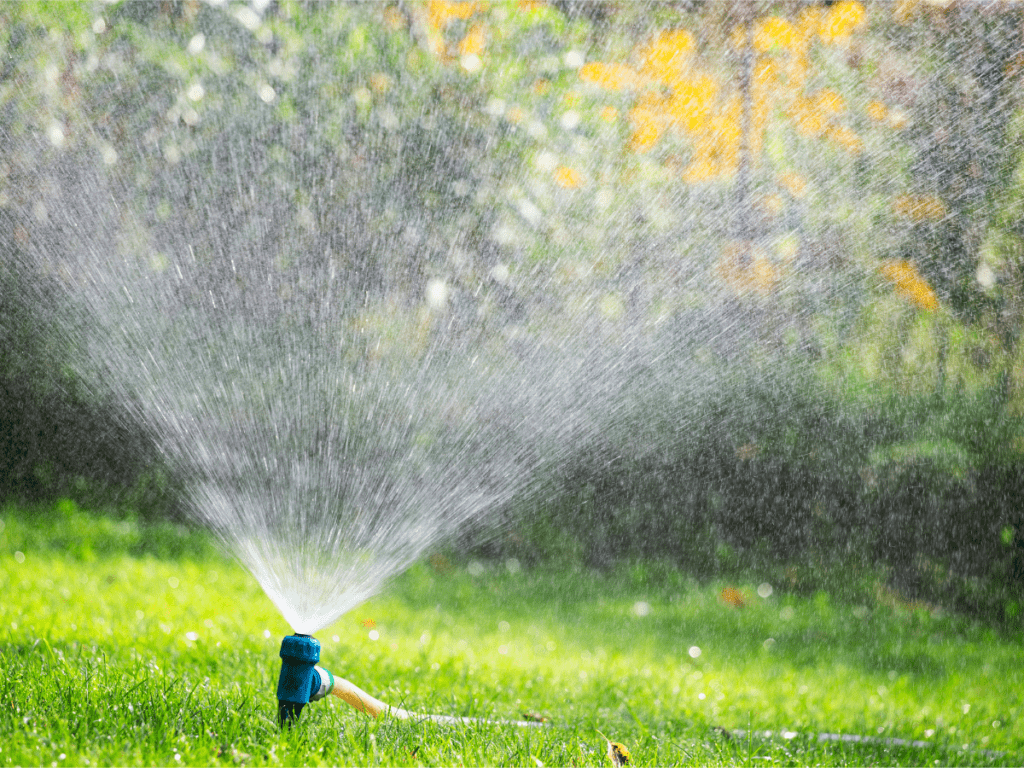 Best Time To Water Lawn Watering Your Lawn Tips And Tricks LawnSavers   Best Time To Water Lawn Sprinkler 1024x768 