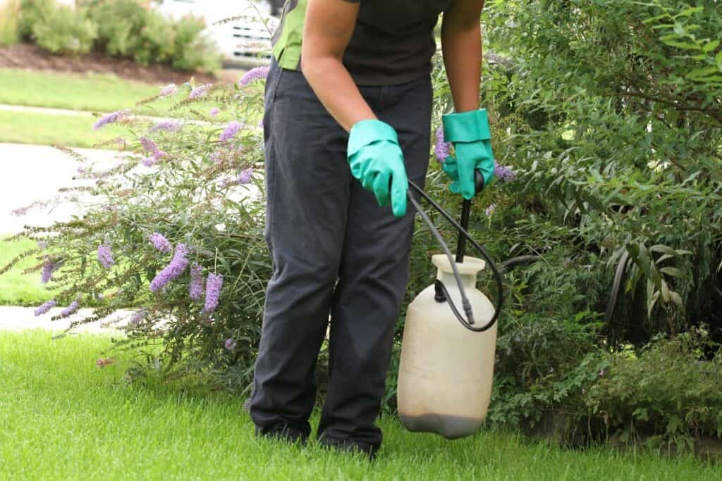 poison ivy spray lawnsavers