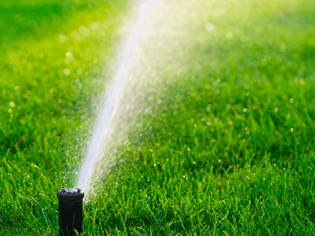 watering your lawn tips good lawn care lawnsavers