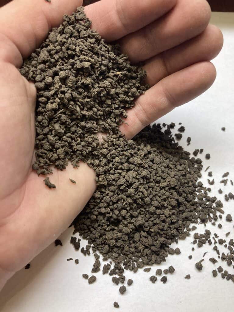 BEST Lawn Top Dressing Service Near You Best Way to Top Dress Lawns in