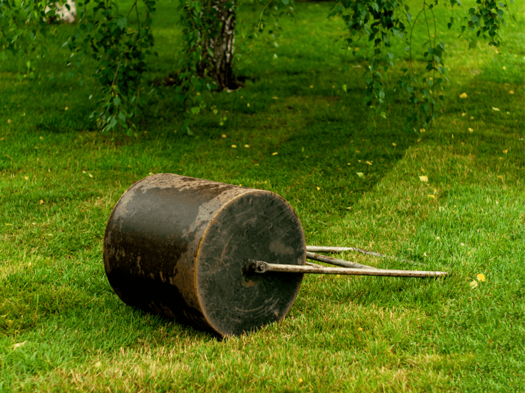 Does Rolling Your Lawn Really Work? Guide How To Fix A Bumpy Lawn