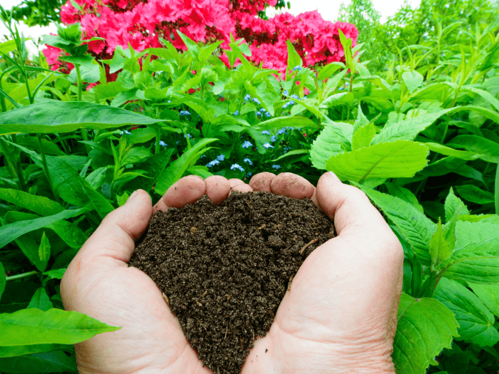 Lawn Top Dressing Service Near You Best Way to Top Dress Lawns in