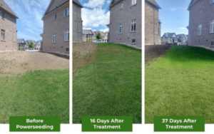 BEST Lawn Aeration Toronto With Before & After Photos - The #1 Most ...