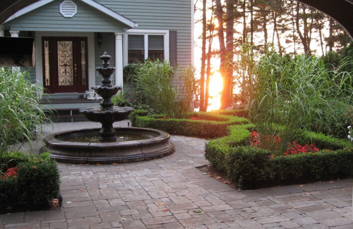 Boxwood Tree Moth (BTM) Boxwood Tree Moth BTM spray treatment service near me