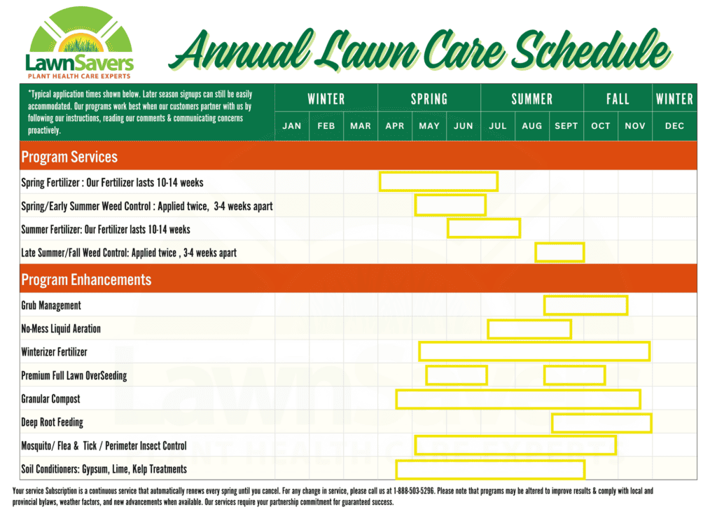 Best Spring Lawn Care Schedule 2024 - Monthly Lawn & Garden To-do 