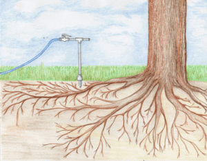 Deep Root tree fertilization by LawnSavers