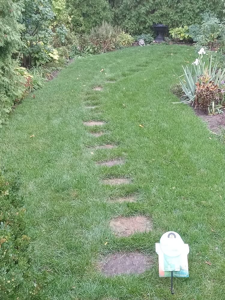 ontario organic lawn care after