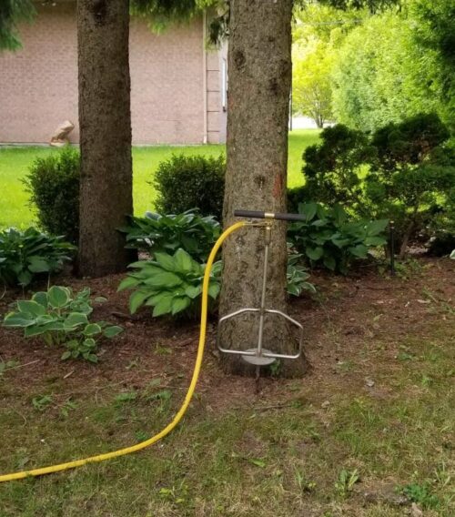 Deep-Root Fertilization for Trees and shrubs Deep-Root Tree and Shrub Fertilization