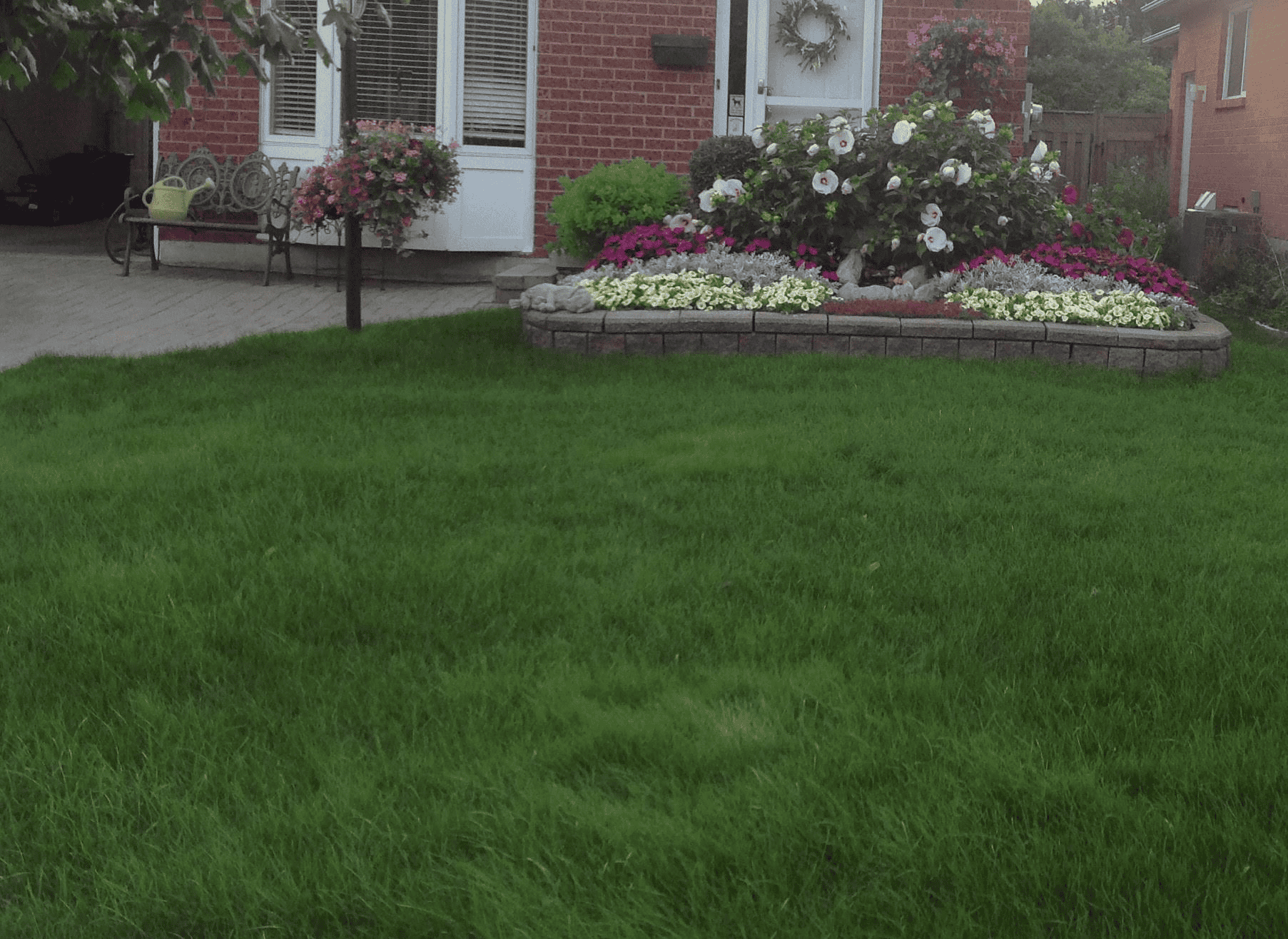 mississauga lawn care after image gta lawn care company