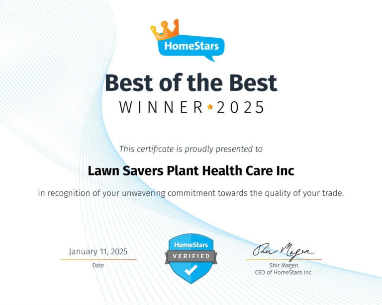 HomeStars Best Of The Best Lawn Care Services in Toronto Winner 2025 HomeStars Best Of The Best Lawn Care Services in Toronto GTA Winner 2025