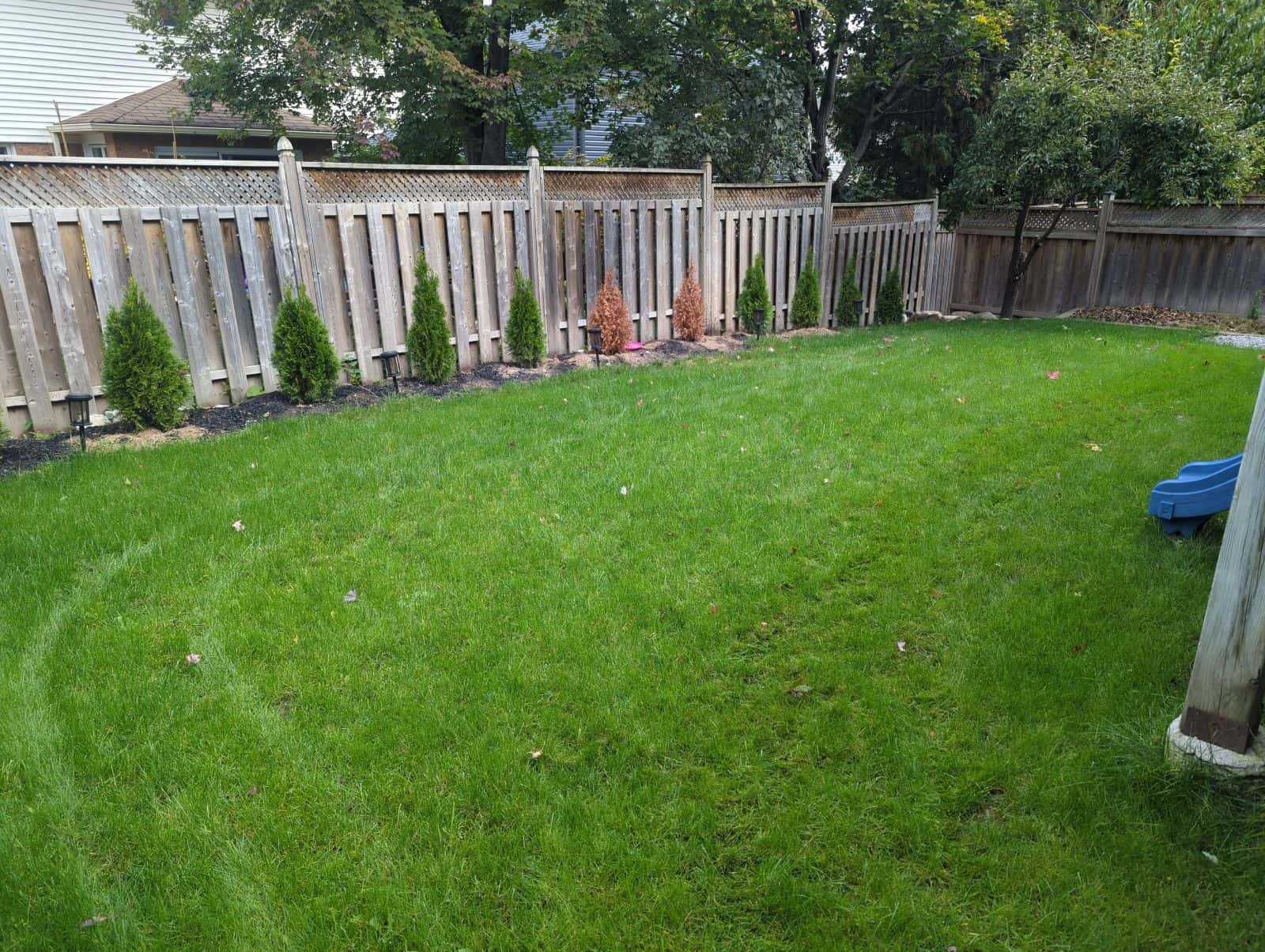 Healthy green backyard lawn in the GTA maintained with LawnSavers plant health care